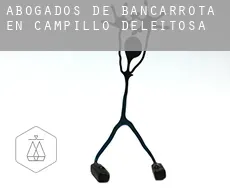 Abogados de bancarrota en Campillo de Deleitosa