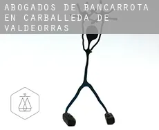 Abogados de bancarrota en  Carballeda de Valdeorras
