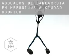 Abogados de bancarrota en Herguijuela de Ciudad Rodrigo