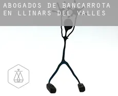 Abogados de bancarrota en  Llinars del Vallès