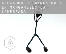 Abogados de bancarrota en  Manganeses de la Lampreana