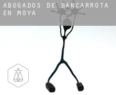 Abogados de bancarrota en  Moya