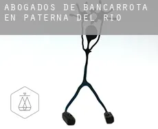 Abogados de bancarrota en  Paterna del Río