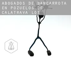 Abogados de bancarrota en  Pozuelos de Calatrava (Los)