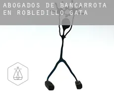 Abogados de bancarrota en  Robledillo de Gata