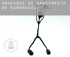 Abogados de bancarrota en  Romangordo