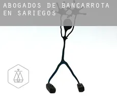 Abogados de bancarrota en  Sariegos