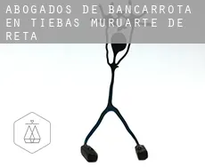 Abogados de bancarrota en  Tiebas-Muruarte de Reta