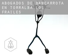 Abogados de bancarrota en  Torralba de los Frailes