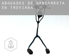 Abogados de bancarrota en  Treviana