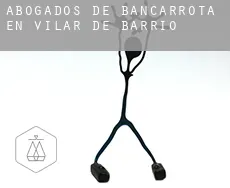 Abogados de bancarrota en  Vilar de Barrio
