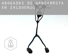 Abogados de bancarrota en  Zalduondo