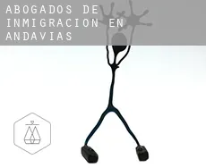Abogados de inmigración en  Andavías