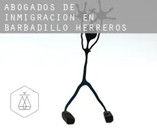 Abogados de inmigración en  Barbadillo de Herreros