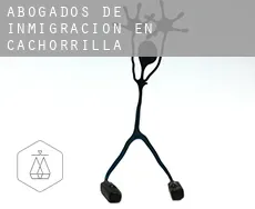 Abogados de inmigración en  Cachorrilla