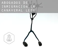 Abogados de inmigración en  Cañaveral de León