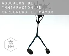 Abogados de inmigración en  Carbonero el Mayor