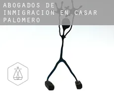 Abogados de inmigración en  Casar de Palomero
