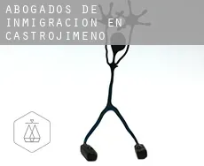 Abogados de inmigración en  Castrojimeno