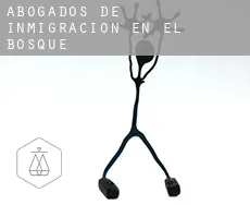 Abogados de inmigración en  El Bosque