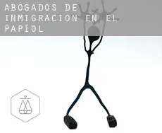 Abogados de inmigración en  el Papiol