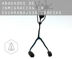 Abogados de inmigración en  Escarabajosa de Cabezas