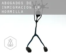 Abogados de inmigración en  Hormilla