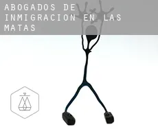 Abogados de inmigración en  Las Matas