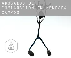 Abogados de inmigración en  Meneses de Campos