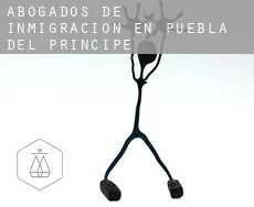 Abogados de inmigración en  Puebla del Príncipe