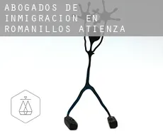 Abogados de inmigración en  Romanillos de Atienza