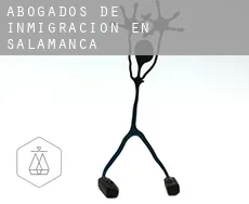 Abogados de inmigración en  Salamanca