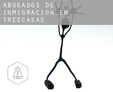 Abogados de inmigración en  Trescasas