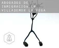 Abogados de inmigración en  Villademor de la Vega