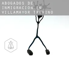 Abogados de inmigración en  Villamayor de Treviño