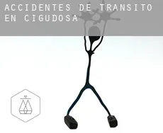 Accidentes de tránsito en  Cigudosa