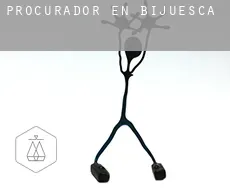 Procurador en  Bijuesca