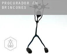 Procurador en  Brincones
