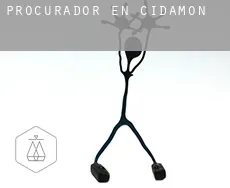 Procurador en  Cidamón