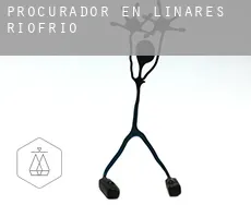 Procurador en  Linares de Riofrío