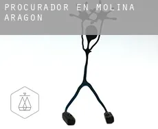 Procurador en  Molina de Aragón
