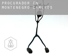 Procurador en  Montenegro de Cameros