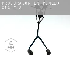 Procurador en  Pineda de Gigüela