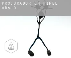 Procurador en  Piñel de Abajo