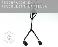 Procurador en  Riudellots de la Selva