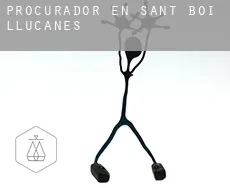 Procurador en  Sant Boi de Lluçanès