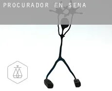 Procurador en  Sena