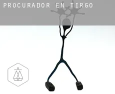 Procurador en  Tirgo