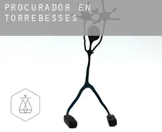 Procurador en  Torrebesses