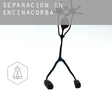 Separación en  Encinacorba